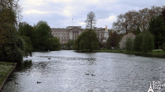 Blog 1 - Buckingham lac