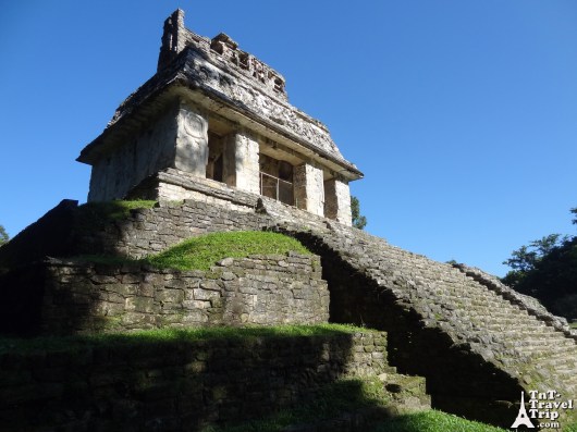 Palenque 05