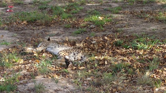 wp-1447911652402 image